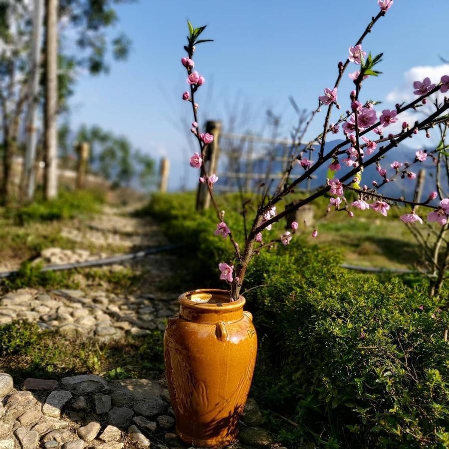 Sapa Rosie House Hotel Luaran gambar